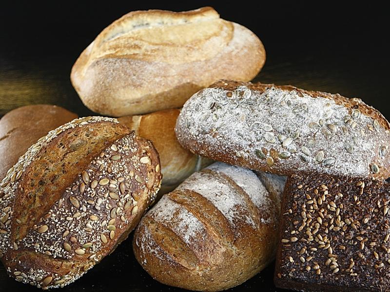 integralni kruh
